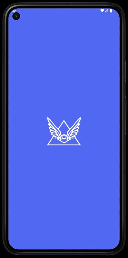 Aperçu de l'application FFSM